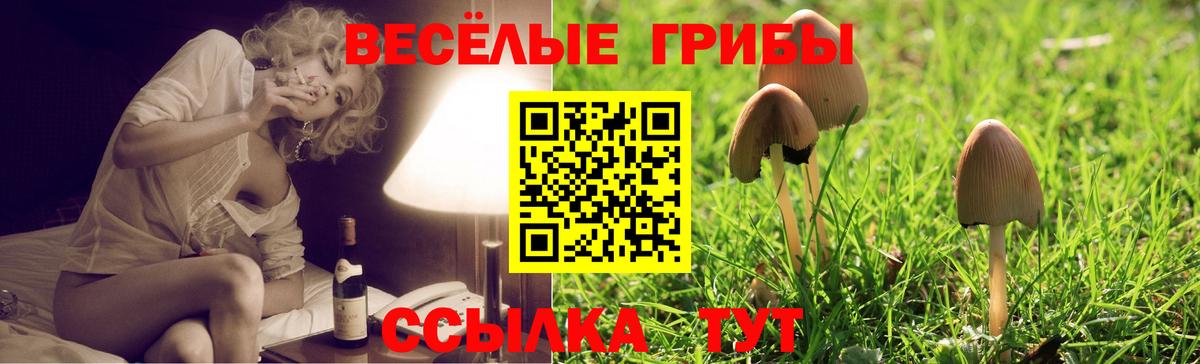 Волжск  Псилоцибиновые грибы Magic Shrooms  Галлюциногенные грибы мицелий  Вход с VPN 