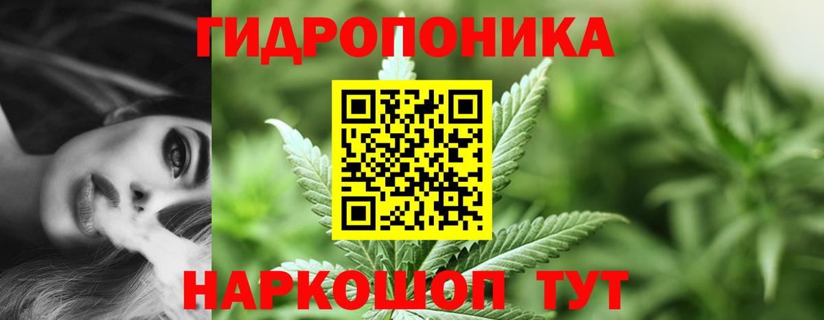 Шишки марихуана VHQ  Канабис гибрид  Конопля план  Конопля планчик  Волжск  Вход с VPN 